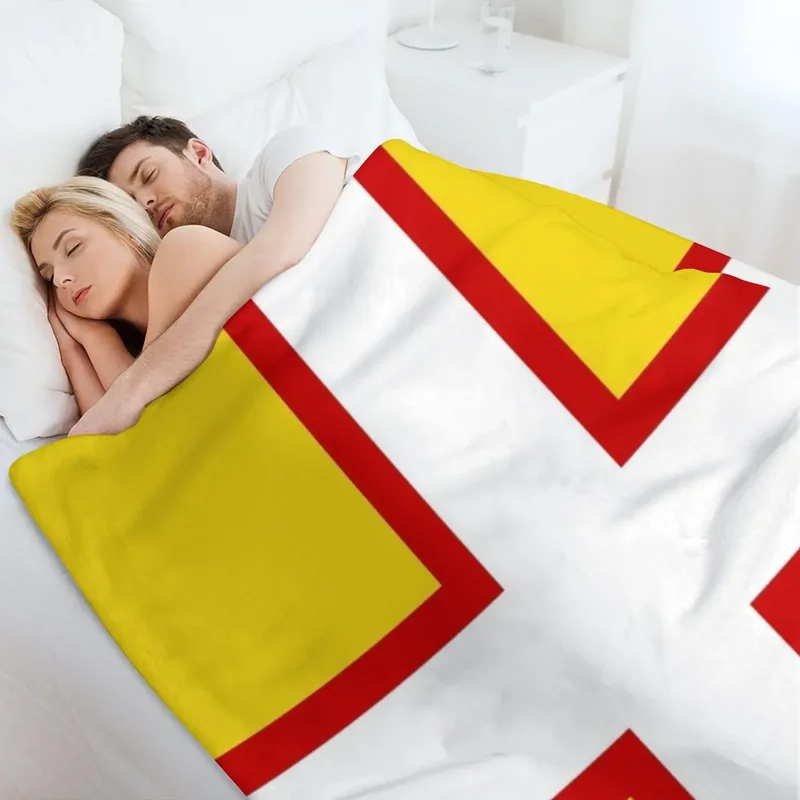 VLAG VAN DORSET ENGELAND Gooid - Home Office England recensie en prijs