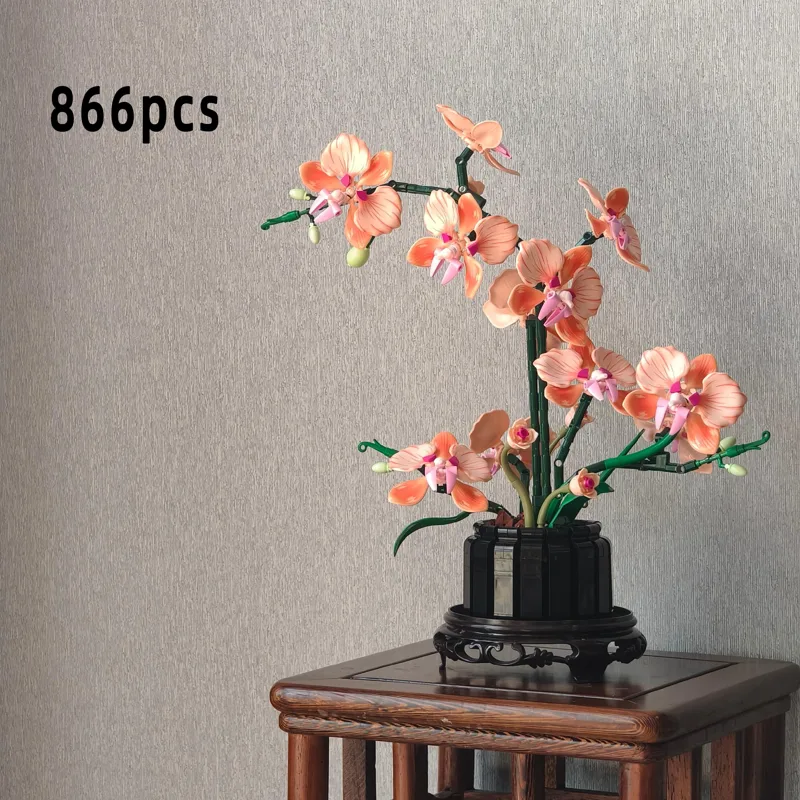 Oranje Phalaenopsis Orchidee B - Home Office Building recensie en prijs