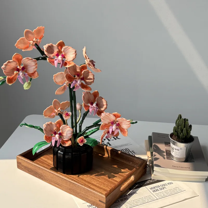 Oranje Phalaenopsis Orchidee B - Home Office Building recensie en prijs