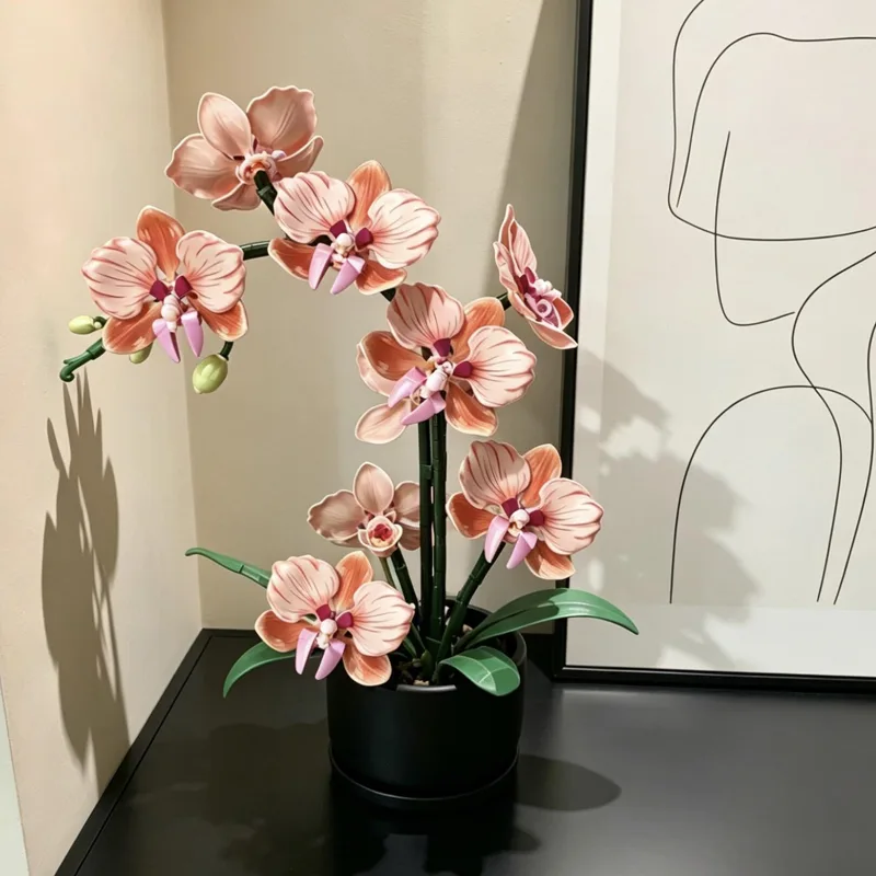 Oranje Phalaenopsis Orchidee B - Home Office Building recensie en prijs